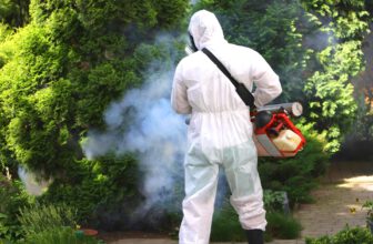 Zwalczanie szczurów Wrocław