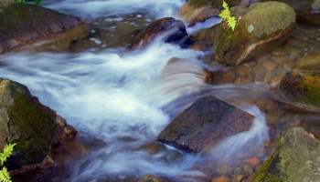 Zmiękczacze do wody Twojego domu